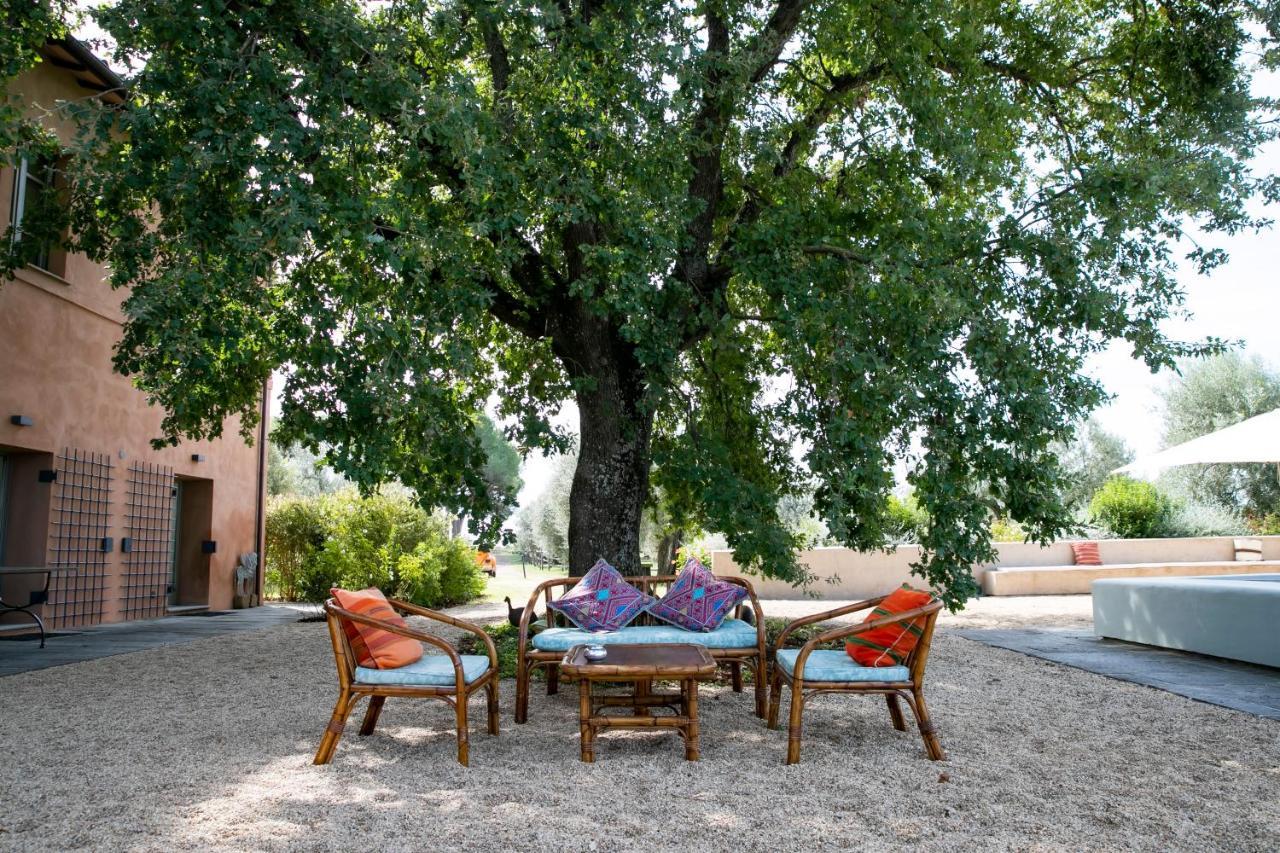 Tenuta Di Paternostro Vetralla Luaran gambar