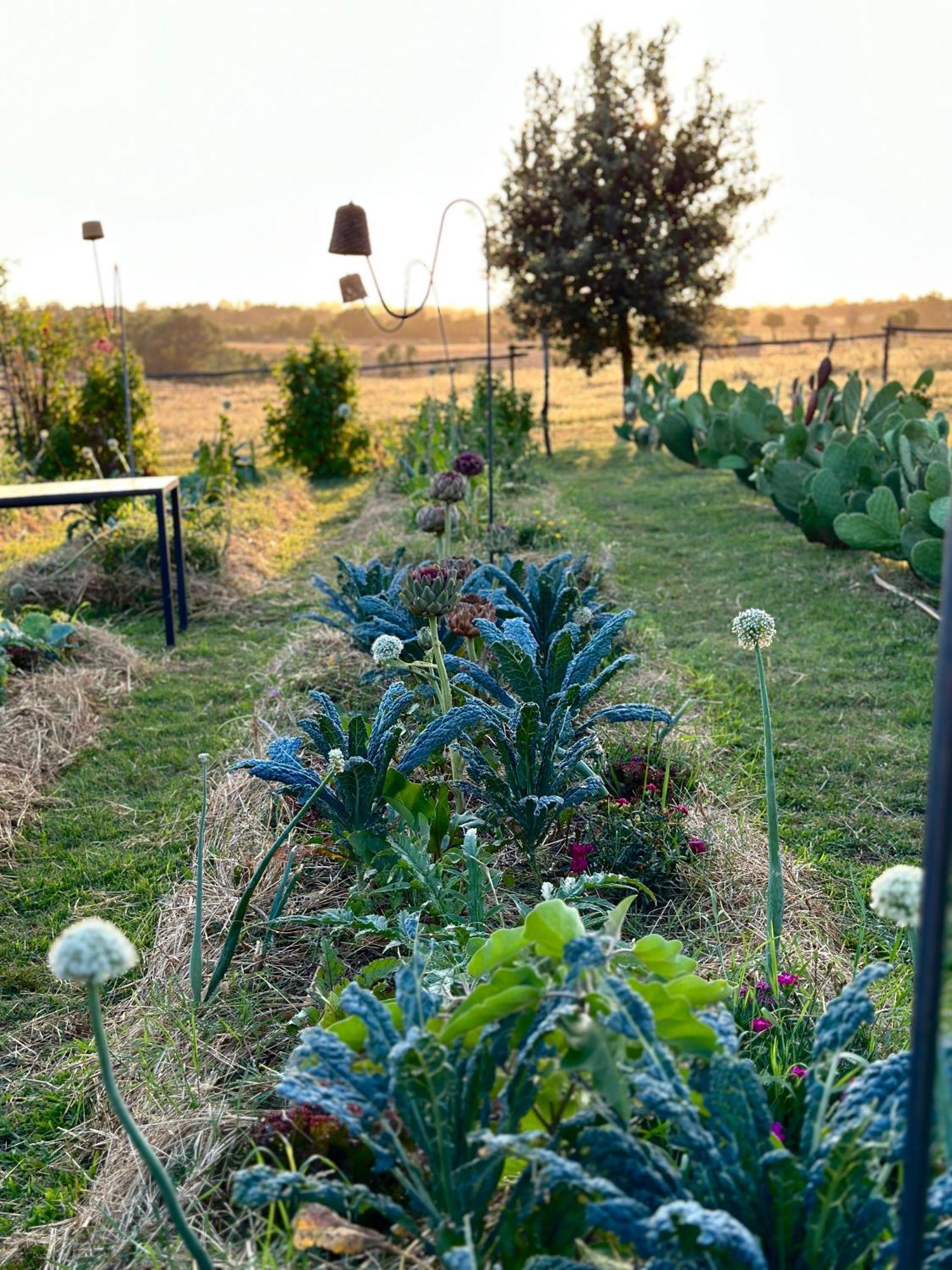 Tenuta Di Paternostro Vetralla Luaran gambar