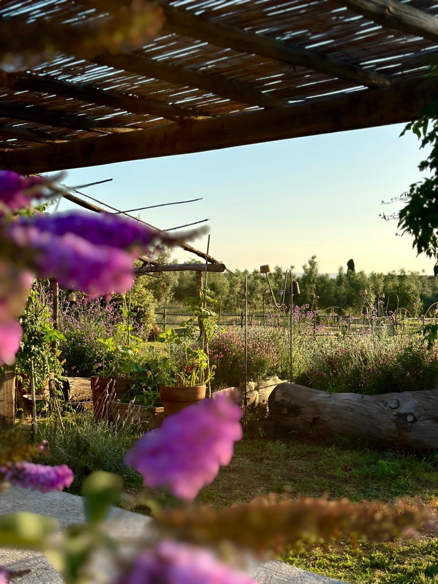 Tenuta Di Paternostro Vetralla Luaran gambar