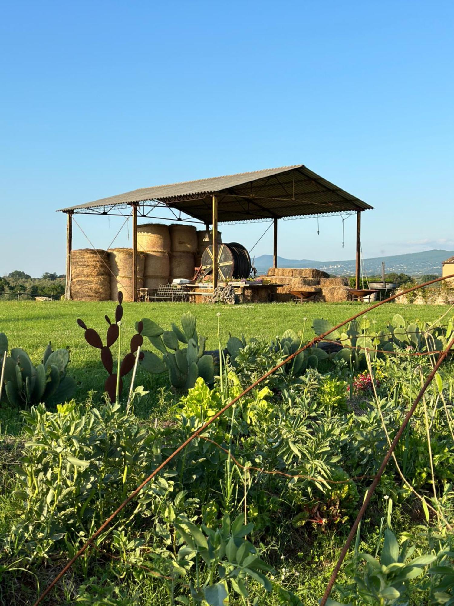 Tenuta Di Paternostro Vetralla Luaran gambar