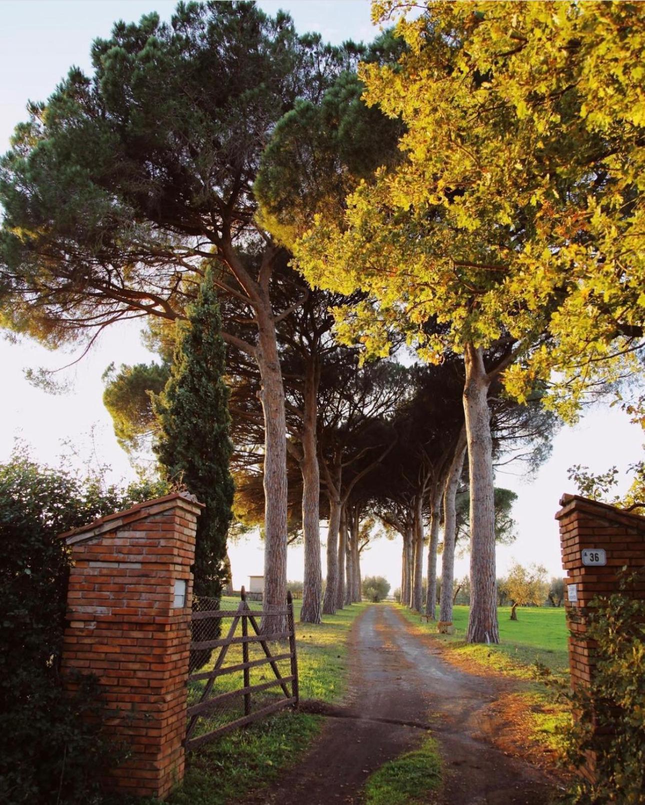 Tenuta Di Paternostro Vetralla Luaran gambar