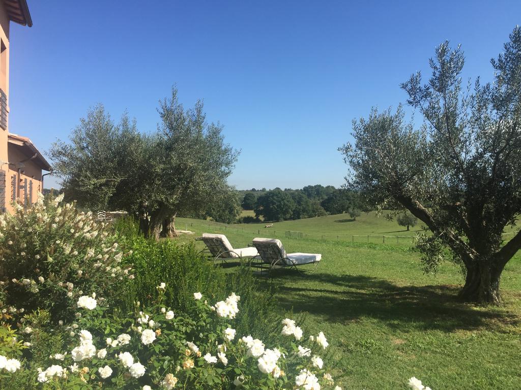 Tenuta Di Paternostro Vetralla Luaran gambar